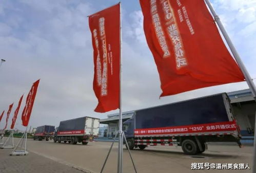 你好,我是溫州